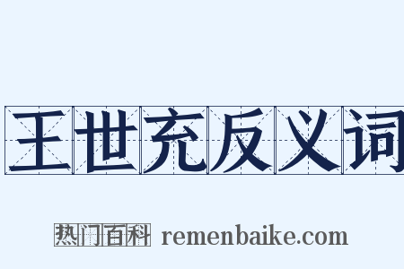 王世充反义词是什么意思的图片